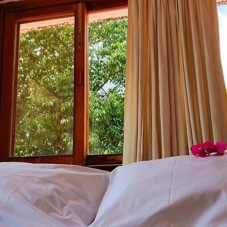 Ixlum Hoteles Y Casas Vacacionales Tepoztlan Bagian luar foto